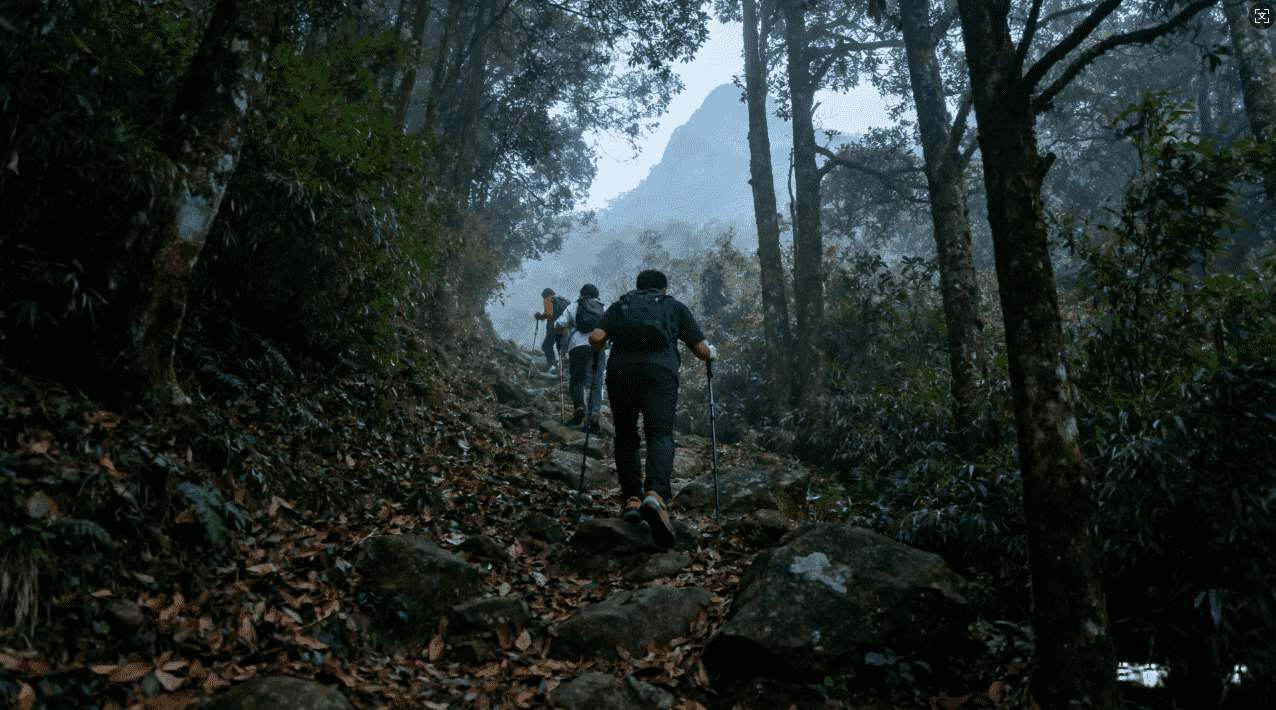 如何通过风驰全网加速器实现网络极速体验
